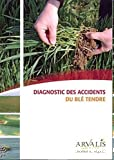 Diagnostic des accidents du blé tendre
