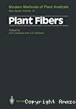 Plant fibers