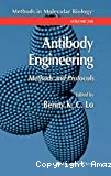 Antibody engineering