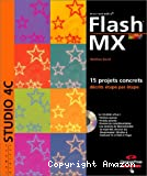 Flash MX Digital Studio 4C