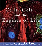 Cells, gels and the engines of life. A new, unifying approach to cell function