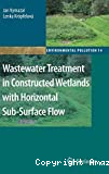 Wastewater treatment in constructed wetlands with horizontal sub-surface flow