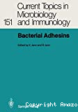 Bacterial adhesins