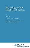 Physiology of the plant root system