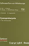 Süsswasserflora von Mitteleuropa. Vol. 19-1 : cyanoprokaryota 1. Teil : chroococcales