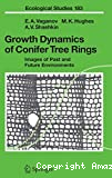 Growth dynamics of conifer tree rings