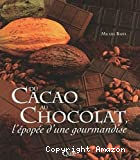 Du cacao au chocolat. L'épopée d'une gourmandise