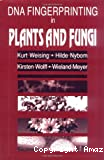 DNA fingerprinting in plants and fungi