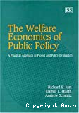 The welfare economics of public policy