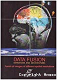 Data fusion : definitions and architectures. Fusion of images of different spatial résolutions