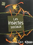 Les insectes sociaux