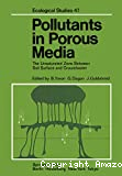 Pollutants in porous media