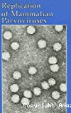 Replication of mammalian parvoviruses