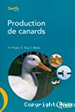 Production de canards