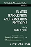 In vitro transcription and translation protocols