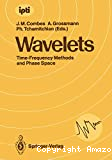 Wavelets: time-frequency methods and phase space
