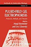 Pulsed-field gel electrophoresis, protocols, methods and theories