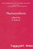 Photosynthesis