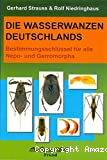 Die wasserwanzen deutschlands : bestimmungsschlüssel für alle Nepo- und Gerromorpha