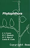 Phytophthora