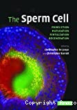 The sperm cell - Production, maturation, fertilization, regeneration