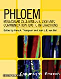 Phloem : Molecular cell Biology, systemic communication, biotic interactions