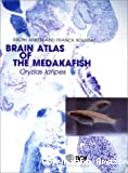 Brain atlas of the medakafish. Oryzias latipes