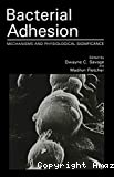 Bacterial adhesion : mechanisms and physiological signifiance