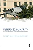 Interdisciplinarity: reconfigurations of the social and natural sciences