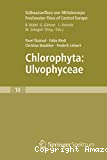 Chlorophyta: ulvophyceae