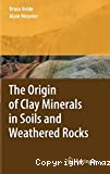The origin of clay minerals in soils and weathered rocks