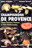 Champignons de Provence, Haute-Provence, Provence et Midi méditerranén