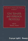 Gene transfer and expression protocols