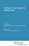 Tissue culture in forestry