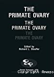 The primate ovary