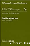 Süsswasserflora von Mitteleuropa : bacillariophyceae. Vol. 1 : naviculaceae