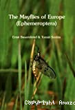The Mayflies of Europe (Ephemeroptera)