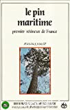 Le pin maritime : premier résineux de France