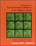 Assessment of non-point source pollution in the vadose zone
