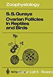Ovarian follicles in reptiles and birds