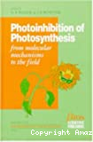 Photoinhibition of photosynthesis: From molecular mechanisms to the field