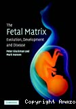 The fetal matrix. Evolution, development and disease