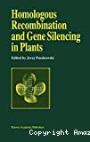 Homologous recombination and gene silencing in plants