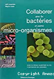 Collaborer avec les bactéries et autres micro-organismes : Guide du réseau alimentaire du sol à destination des jardiniers