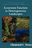 Ecosystem function in heterogeneous landscapes