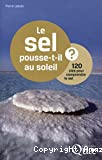 Le sel pousse-t-il au soleil ?