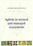 Aphids in natural and managed ecosystems