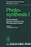 Photosynthesis 1. Photosynthetic. Electron transport and photophosphorylation