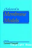 Cholesterol in membrane models