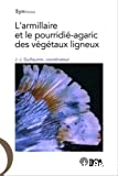 L'armillaire et le pourridié-agaric des végétaux ligneux